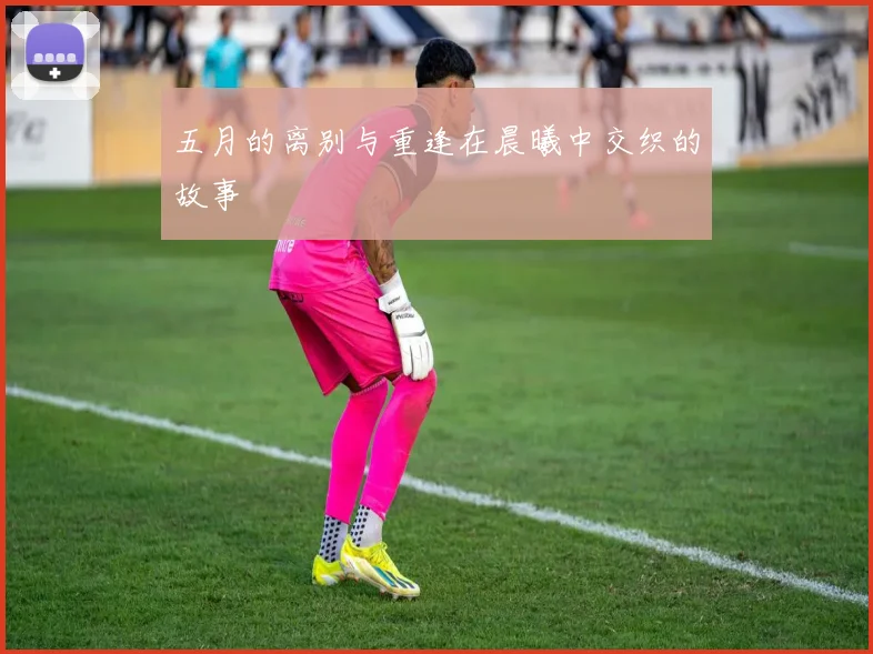 五月的离别与重逢在晨曦中交织的故事