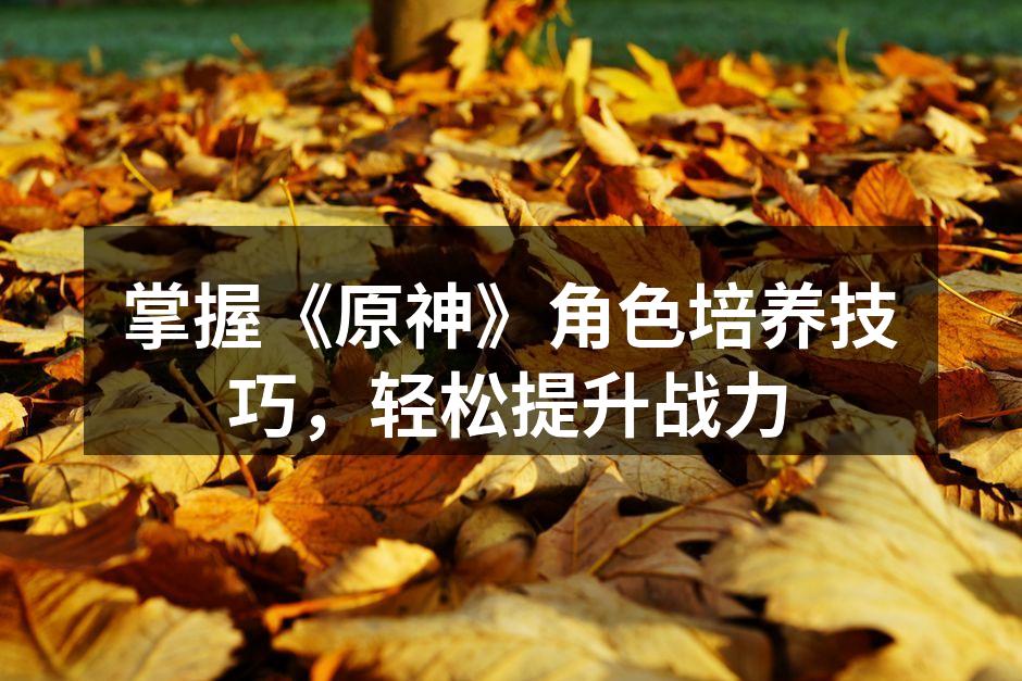 掌握《原神》角色培养技巧，轻松提升战力