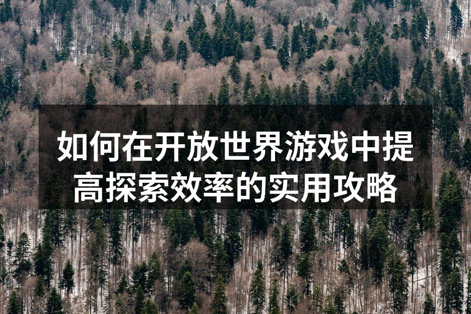 如何在开放世界游戏中提高探索效率的实用攻