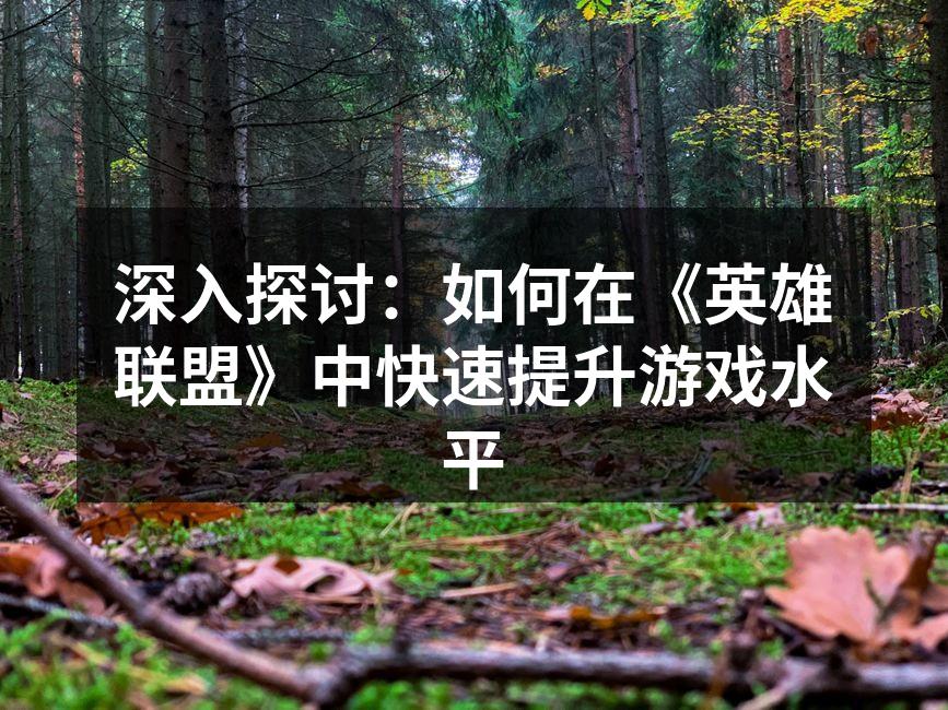深入探讨：如何在《英雄联盟》中快速提升游