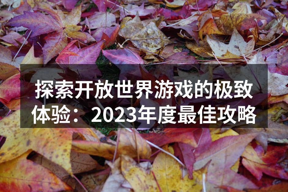 探索开放世界游戏的极致体验：2023年度